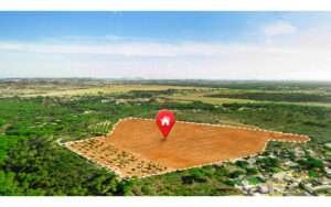 Property Value in Jaipur